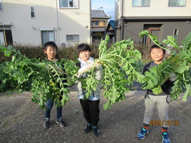 大根イエーイ２